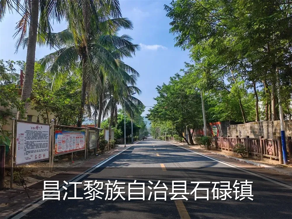 昌江黎族自治县石碌镇